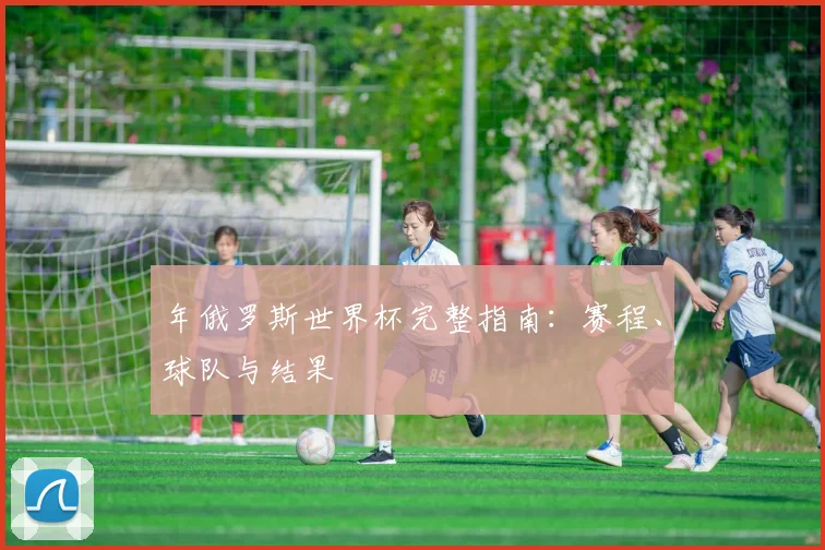 年俄罗斯世界杯完整指南:赛程、球队与结果