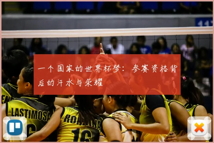一个国家的世界杯梦:参赛资格背后的汗水与荣耀