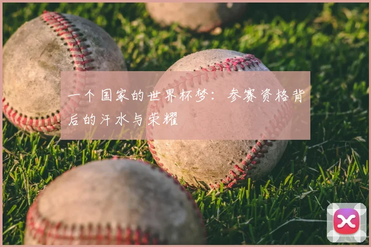 一个国家的世界杯梦：参赛资格背后的汗水与荣耀