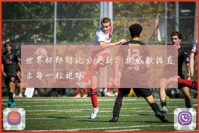世界杯即时比分更新：权威数据直击每一粒进球
