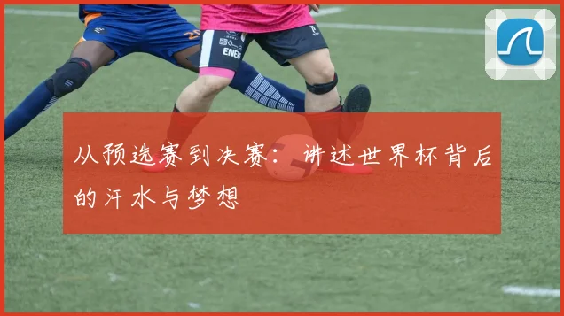 从预选赛到决赛：讲述世界杯背后的汗水与梦想
